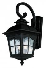  5420 BK - Briarwood 1-Light Rustic, Chesapeake Embellished, Armed Water Glass and Metal Wall Lantern